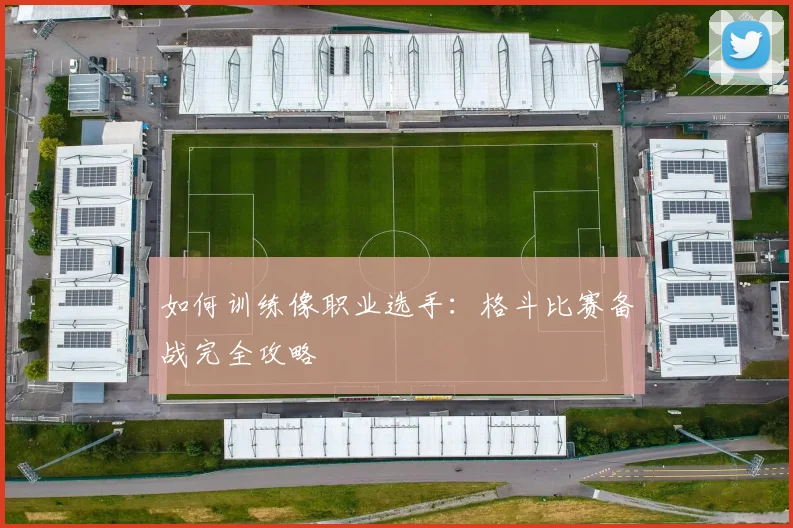 如何训练像职业选手：格斗比赛备战完全攻略